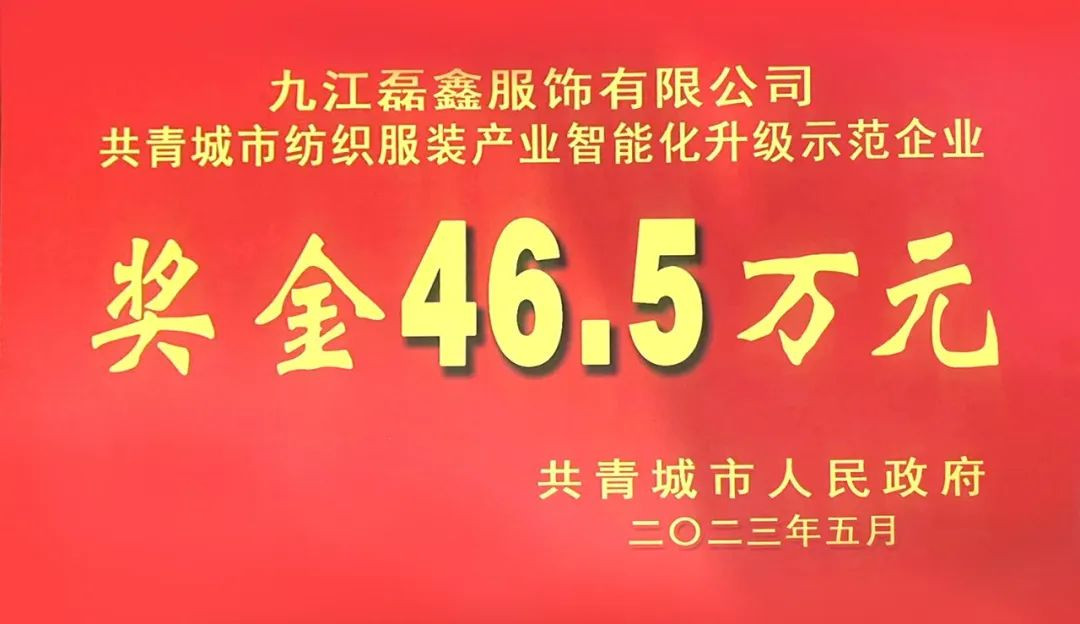 客戶新聞 | 磊鑫服飾榮獲紡織服裝產(chǎn)業(yè)智能化升級(jí)示范企業(yè)！